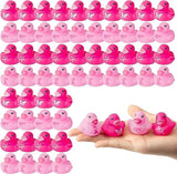 Haooryx 60pcs Pink Ribbon Mini Rubber Ducks Breast Cancer Awareness Bathing Toy Pink Ribbon Butterfly Hope Tiny Ducks for Girls Women Breast Cancer Awareness Inspiring Gifts Seminar Stationery Supply